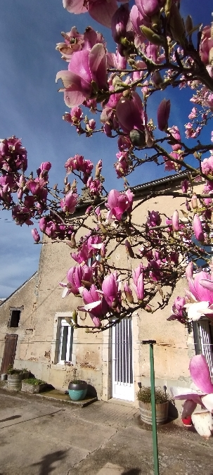 Gîte L'Esprit nature