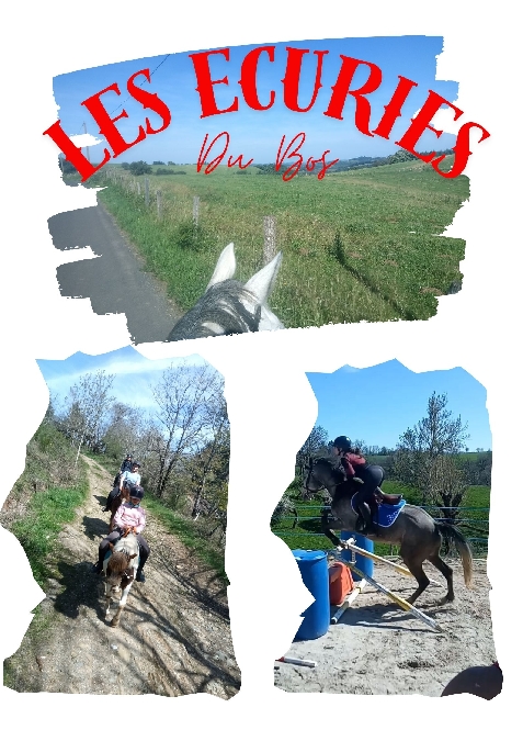 Les écuries du Bos