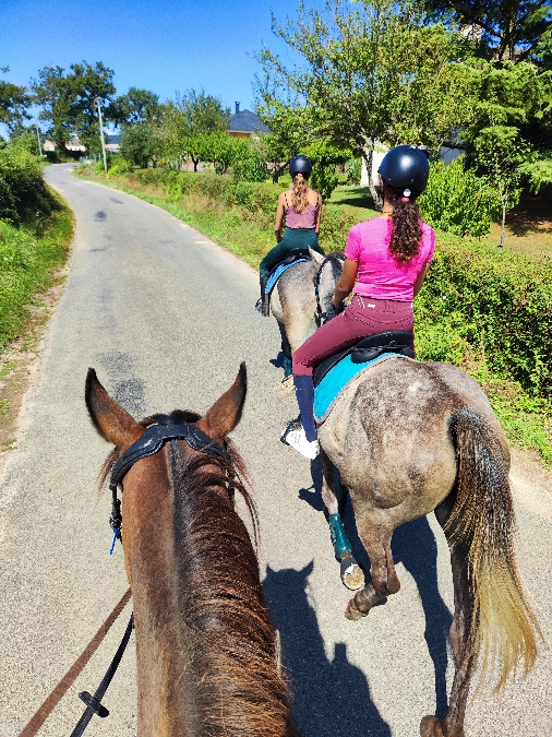 , Club equestre Le Diplodocus