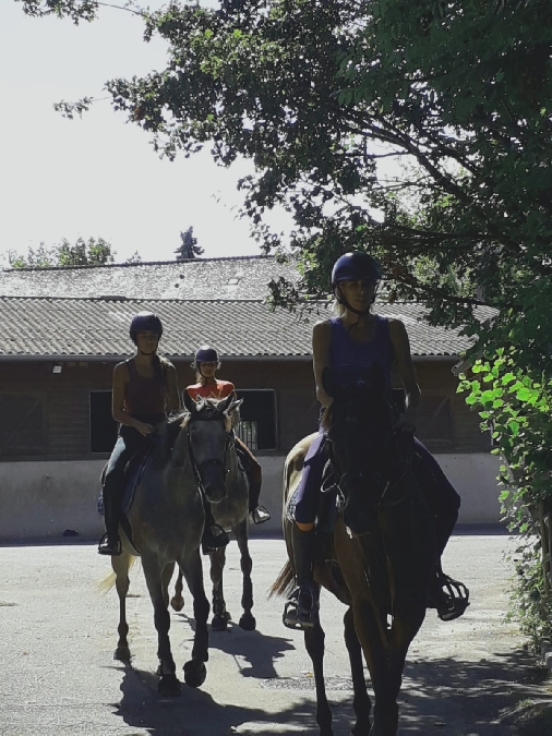 , Club equestre Le Diplodocus